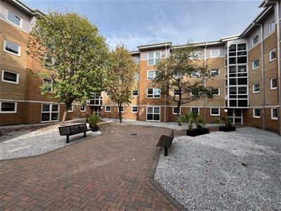 Picture 30